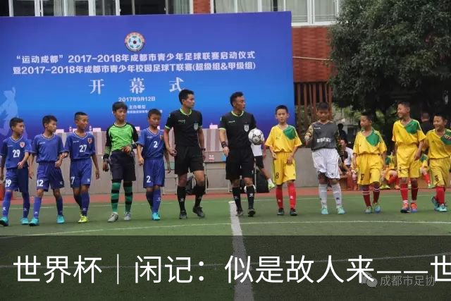 世界杯｜闲记：似是故人来——世界杯上的中超“老熟人”